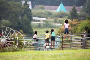 kids playing on an oklahoma real estate farm auction